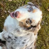 processed/c12f8391-0ccb-4cca-b31e-ecda5d5352b0/facility/eff94cbe-8464-4e80-bcd4-1f868e040bbe