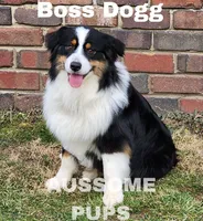 processed/c12f8391-0ccb-4cca-b31e-ecda5d5352b0/listing/290a6bfe-78e6-458e-b9e2-da5bbfc28696/e86c3420-b4c0-4031-8831-9b3e85461dc0