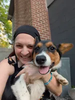 Poppy, a female Pembroke Welsh Corgi for sale in Nauvoo, AL – 2 of 4