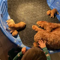 processed/c148bf54-02dc-4588-9dd7-ec4b3c42077b/facility/73bccae0-b64b-45de-a0de-a1d88aa95f20