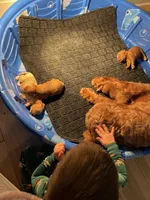 processed/c148bf54-02dc-4588-9dd7-ec4b3c42077b/facility/73bccae0-b64b-45de-a0de-a1d88aa95f20