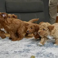 processed/c148bf54-02dc-4588-9dd7-ec4b3c42077b/facility/dd124a06-4ca0-410e-a546-fc59548ff733