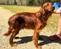 processed/c152e500-bf92-4b77-8a46-6194fd474d12/facility/4c932b4d-f99c-4349-a46b-e1b9db6f417c