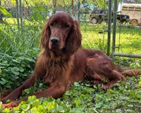 processed/c152e500-bf92-4b77-8a46-6194fd474d12/facility/c3f0f414-9136-424a-8bb7-1d497031de3d