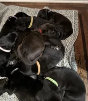 processed/c1589154-d9ff-4a7b-9a11-6917a16e93a1/facility/07d2da9b-9ec3-4e65-987c-a6fbf0a69a6c