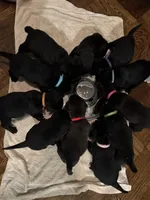 processed/c1589154-d9ff-4a7b-9a11-6917a16e93a1/facility/5959d012-cb53-4dba-bb8d-bc27ef65c96d