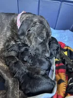 processed/c1589154-d9ff-4a7b-9a11-6917a16e93a1/facility/bb276db7-38b7-4fe3-9bdb-5967627adbf4