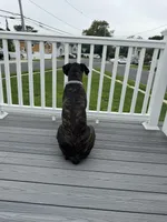 processed/c1589154-d9ff-4a7b-9a11-6917a16e93a1/facility/c48a989f-e1fa-4305-9f62-cf522d11d20f