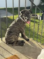 processed/c1589154-d9ff-4a7b-9a11-6917a16e93a1/facility/ee01a495-f43f-46ec-85b6-fc9dbec4f7b3