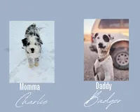 processed/c167a332-0da8-41c6-97dc-a945d9837a6f/listing/82d609ca-ae46-4c30-bfad-62afbb13262a/9dbd095f-de63-4fbd-b533-c898da67c69e