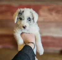 processed/c167a332-0da8-41c6-97dc-a945d9837a6f/listing/82d609ca-ae46-4c30-bfad-62afbb13262a/bff66178-60d9-4ae7-8702-0e39388df749