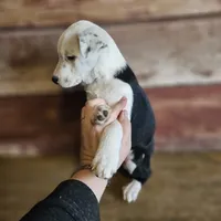 processed/c167a332-0da8-41c6-97dc-a945d9837a6f/listing/b421097f-916b-4bbb-b0cf-0049a92e28ba/195e1edf-c684-44d0-b976-ade35859c406