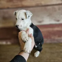 processed/c167a332-0da8-41c6-97dc-a945d9837a6f/listing/b421097f-916b-4bbb-b0cf-0049a92e28ba/91de9945-0e0b-4f5f-9058-f2db88864599