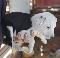 processed/c167a332-0da8-41c6-97dc-a945d9837a6f/listing/b421097f-916b-4bbb-b0cf-0049a92e28ba/fa4f1eb9-8e29-468e-8b85-117823414314