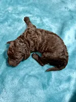 processed/c16bc10b-38a2-460f-a507-02c3a82493bc/listing/33937b4c-bdcf-419f-b444-b885f236c567/8e49cfa8-4f3e-447f-b317-5afd8543760c