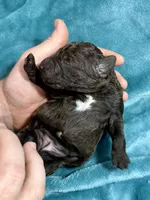 processed/c16bc10b-38a2-460f-a507-02c3a82493bc/listing/33937b4c-bdcf-419f-b444-b885f236c567/9c4a60a2-cb34-4d75-a69d-5edc11f6983d