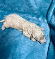 processed/c16bc10b-38a2-460f-a507-02c3a82493bc/listing/98a4e0d0-7288-45f2-b857-6947ee08e3f6/bcc59a8b-8b80-4aab-ad50-2531be94b112