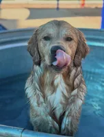 processed/c170843c-9339-49be-a395-0cba854018e5/listing/944c3f51-5a30-4695-bfd2-bb90f89d77e5/4bde12d9-813a-43b2-b19e-6318ca001fcc