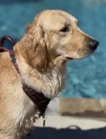 processed/c170843c-9339-49be-a395-0cba854018e5/listing/944c3f51-5a30-4695-bfd2-bb90f89d77e5/df335d38-60ad-411a-a9a1-e9b2691b934a