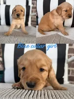 processed/c170843c-9339-49be-a395-0cba854018e5/listing/a780d0d5-d5cd-41ce-9c35-b4ba95bcba4f/7a5b474c-4f01-4f6a-8412-b79a0e45d6b7