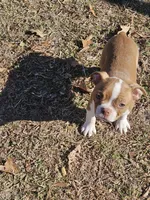 processed/c17b29f4-5f4c-461d-94a8-d8dfbedb84e7/listing/02f1144c-7680-4c93-838c-555c59376768/6009fc4c-1435-429d-81c8-dce38eb278ff