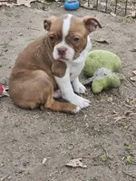 processed/c17b29f4-5f4c-461d-94a8-d8dfbedb84e7/listing/02f1144c-7680-4c93-838c-555c59376768/c11c7333-51e2-4d54-bdb9-c14d9e0b3f02