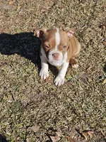 processed/c17b29f4-5f4c-461d-94a8-d8dfbedb84e7/listing/02f1144c-7680-4c93-838c-555c59376768/e180ccf4-ad88-4b1d-bdc4-97d01696d8b7