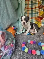 processed/c17b29f4-5f4c-461d-94a8-d8dfbedb84e7/listing/11cc557c-5833-4f6b-8257-55c3ce264079/40f88723-9093-49e3-984e-7c698669603e