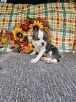 processed/c17b29f4-5f4c-461d-94a8-d8dfbedb84e7/listing/11cc557c-5833-4f6b-8257-55c3ce264079/41132a89-1f5e-4399-8543-612b30e27956