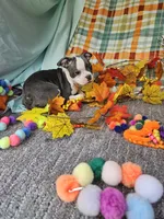 processed/c17b29f4-5f4c-461d-94a8-d8dfbedb84e7/listing/11cc557c-5833-4f6b-8257-55c3ce264079/64d1d606-0727-4d8a-88a2-0ca6775ee2e7