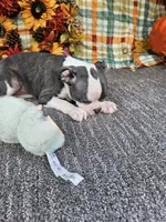 processed/c17b29f4-5f4c-461d-94a8-d8dfbedb84e7/listing/11cc557c-5833-4f6b-8257-55c3ce264079/81fbab17-6832-4ab6-a21f-af86d0165437