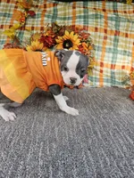 processed/c17b29f4-5f4c-461d-94a8-d8dfbedb84e7/listing/11cc557c-5833-4f6b-8257-55c3ce264079/877e9091-1dcc-45ba-b4de-e165c50ce2d6