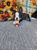 processed/c17b29f4-5f4c-461d-94a8-d8dfbedb84e7/listing/236f2095-3bb0-4a08-9d8e-75cc7eb325b5/7494ed27-85c4-4903-824a-7194fc3441e7