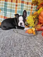 processed/c17b29f4-5f4c-461d-94a8-d8dfbedb84e7/listing/236f2095-3bb0-4a08-9d8e-75cc7eb325b5/ae82a19f-5266-4135-8a51-ddea7cffc3af