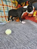 processed/c17b29f4-5f4c-461d-94a8-d8dfbedb84e7/listing/236f2095-3bb0-4a08-9d8e-75cc7eb325b5/e3deb0b4-1309-40ae-8eab-f923d3d32425