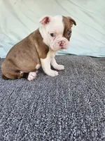 processed/c17b29f4-5f4c-461d-94a8-d8dfbedb84e7/listing/688176b6-c5fc-4972-904c-d1776e8d9a15/273cee29-4abd-463a-8f40-2170bc1f5b7b