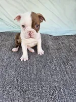 processed/c17b29f4-5f4c-461d-94a8-d8dfbedb84e7/listing/688176b6-c5fc-4972-904c-d1776e8d9a15/35627a8b-c7a8-409b-97dc-68d924b6f894