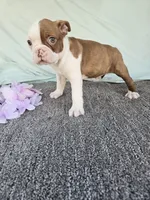 processed/c17b29f4-5f4c-461d-94a8-d8dfbedb84e7/listing/688176b6-c5fc-4972-904c-d1776e8d9a15/723a5e83-716b-46ca-8189-dca0a9aa963a