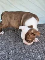 processed/c17b29f4-5f4c-461d-94a8-d8dfbedb84e7/listing/688176b6-c5fc-4972-904c-d1776e8d9a15/776ce5c8-126d-43ec-85f8-c77ef86e2800