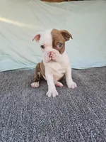 processed/c17b29f4-5f4c-461d-94a8-d8dfbedb84e7/listing/688176b6-c5fc-4972-904c-d1776e8d9a15/c7a874c0-6d29-4c10-8676-15e7005a7109