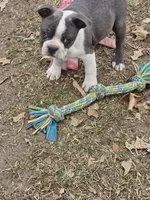 processed/c17b29f4-5f4c-461d-94a8-d8dfbedb84e7/listing/a7a8b055-5f3c-40c8-b62c-04511bd9ad5a/0e429ac6-365c-4414-b6fa-105b2423ecc0