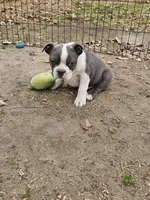 processed/c17b29f4-5f4c-461d-94a8-d8dfbedb84e7/listing/a7a8b055-5f3c-40c8-b62c-04511bd9ad5a/2424e9fa-9080-4e0c-905f-de4f57c6d8d8