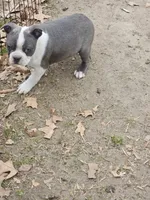 processed/c17b29f4-5f4c-461d-94a8-d8dfbedb84e7/listing/a7a8b055-5f3c-40c8-b62c-04511bd9ad5a/31d4bd90-8e25-4ce8-a184-5e6c36712960