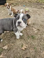 processed/c17b29f4-5f4c-461d-94a8-d8dfbedb84e7/listing/a7a8b055-5f3c-40c8-b62c-04511bd9ad5a/8b3ae2d3-71e5-432b-a2d0-5eba73e2aa0c