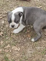 processed/c17b29f4-5f4c-461d-94a8-d8dfbedb84e7/listing/a7a8b055-5f3c-40c8-b62c-04511bd9ad5a/cb552ec8-dd97-46ae-b385-0dea9d11708e