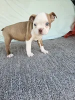 processed/c17b29f4-5f4c-461d-94a8-d8dfbedb84e7/listing/c55e081b-d4ee-44bb-8796-650c28371de0/03088f2c-2e88-4779-b290-3855d5649053