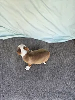 processed/c17b29f4-5f4c-461d-94a8-d8dfbedb84e7/listing/c55e081b-d4ee-44bb-8796-650c28371de0/bf332110-49d0-4826-bf59-77ca21049f67