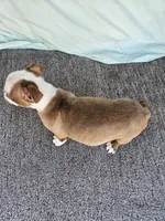 processed/c17b29f4-5f4c-461d-94a8-d8dfbedb84e7/listing/c55e081b-d4ee-44bb-8796-650c28371de0/c97e41a1-bed9-4e93-90c3-3db762e1c3ff