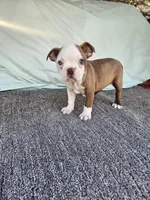 processed/c17b29f4-5f4c-461d-94a8-d8dfbedb84e7/listing/c55e081b-d4ee-44bb-8796-650c28371de0/d75a4e7c-b572-492c-9938-8717588754b5