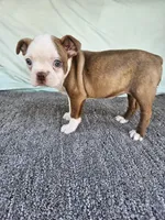 processed/c17b29f4-5f4c-461d-94a8-d8dfbedb84e7/listing/c55e081b-d4ee-44bb-8796-650c28371de0/e730d425-b33f-41fd-8388-dbee4192e3eb